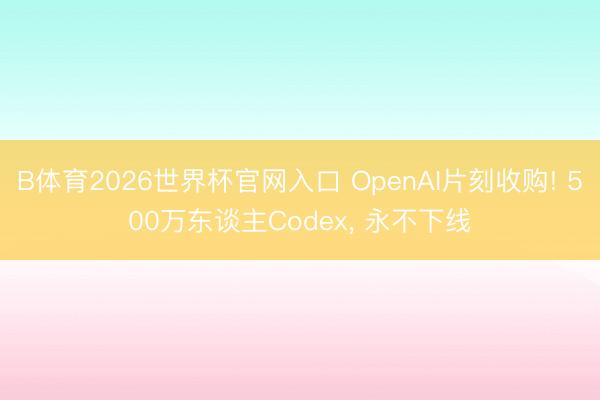 B体育2026世界杯官网入口 OpenAI片刻收购! 500万东谈主Codex， 永不下线