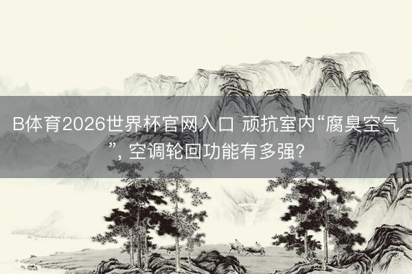 B体育2026世界杯官网入口 顽抗室内“腐臭空气”， 空调轮回功能有多强?
