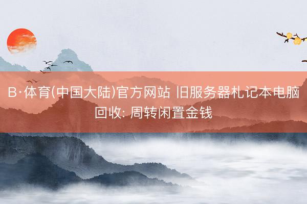 B·体育(中国大陆)官方网站 旧服务器札记本电脑回收: 周转闲置金钱