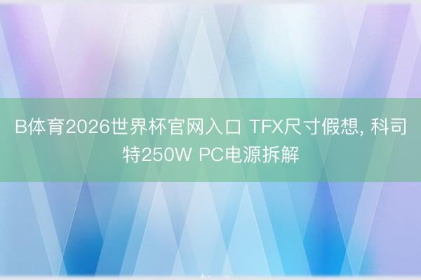 B体育2026世界杯官网入口 TFX尺寸假想， 科司特250W PC电源拆解