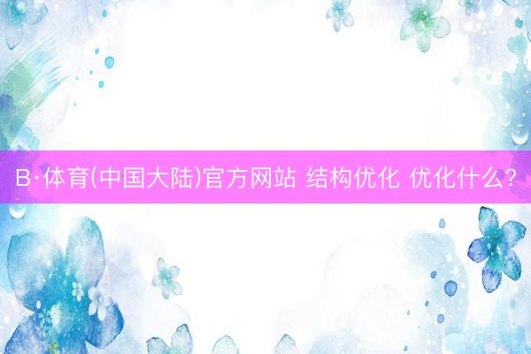 B·体育(中国大陆)官方网站 结构优化 优化什么?