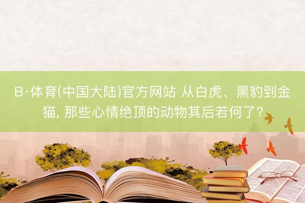 B·体育(中国大陆)官方网站 从白虎、黑豹到金猫， 那些心情绝顶的动物其后若何了?