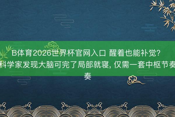B体育2026世界杯官网入口 醒着也能补觉? 科学家发现大脑可完了局部就寝， 仅需一套中枢节奏