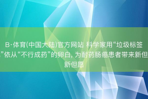 B·体育(中国大陆)官方网站 科学家用“垃圾标签机”依从“不行成药”的卵白, 为耐药肠癌患者带来新但愿
