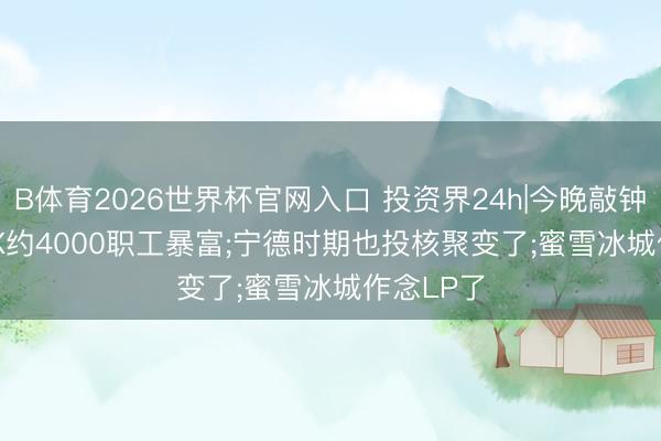 B体育2026世界杯官网入口 投资界24h|今晚敲钟， SpaceX约4000职工暴富;宁德时期也投核聚变了;蜜雪冰城作念LP了
