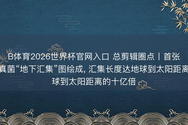 B体育2026世界杯官网入口 总剪辑圈点丨首张大家菌根真菌“地下汇集”图绘成， 汇集长度达地球到太阳距离的十亿倍