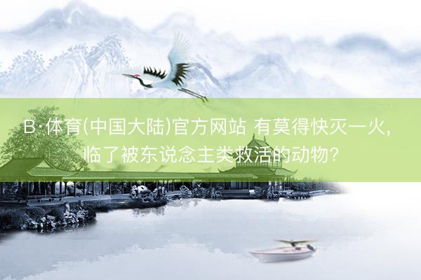 B·体育(中国大陆)官方网站 有莫得快灭一火， 临了被东说念主类救活的动物?