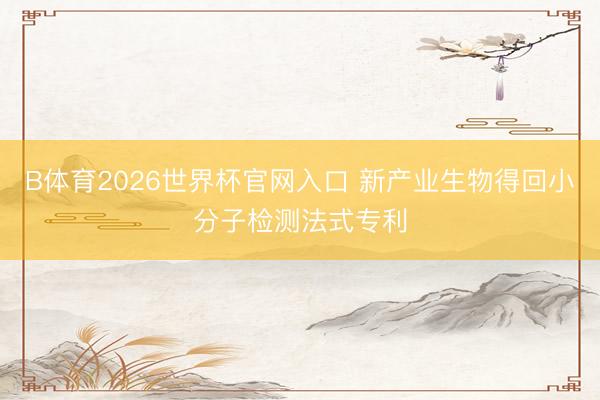 B体育2026世界杯官网入口 新产业生物得回小分子检测法式专利