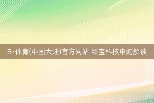 B·体育(中国大陆)官方网站 臻宝科技申购解读