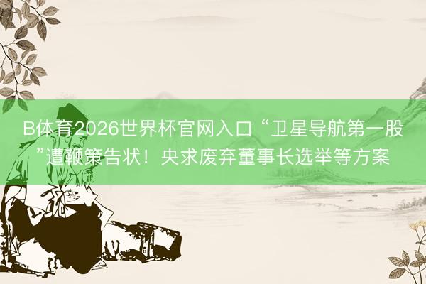 B体育2026世界杯官网入口 “卫星导航第一股”遭鞭策告状！央求废弃董事长选举等方案
