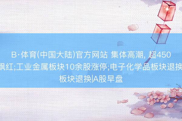 B·体育(中国大陆)官方网站 集体高潮， 超4500只个股飘红;工业金属板块10余股涨停;电子化学品板块退换|A股早盘