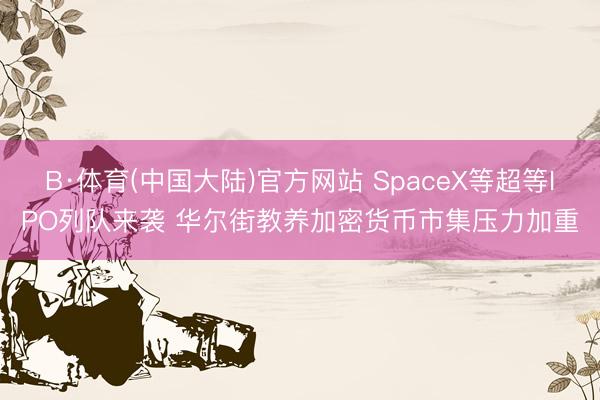 B·体育(中国大陆)官方网站 SpaceX等超等IPO列队来袭 华尔街教养加密货币市集压力加重