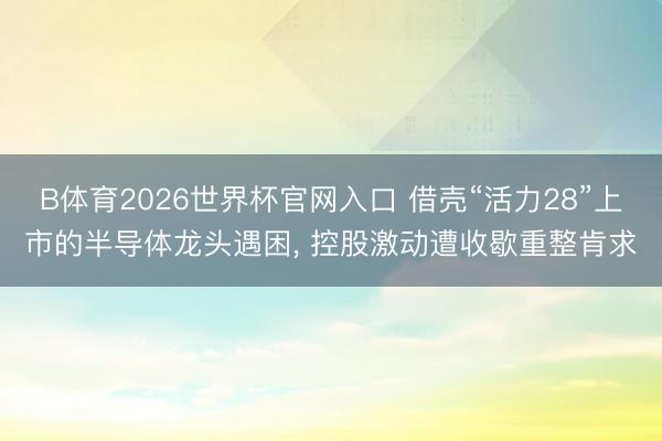 B体育2026世界杯官网入口 借壳“活力28”上市的半导体龙头遇困， 控股激动遭收歇重整肯求