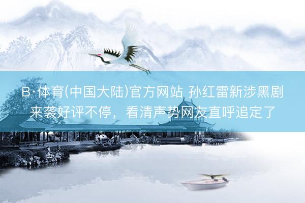 B·体育(中国大陆)官方网站 孙红雷新涉黑剧来袭好评不停，看清声势网友直呼追定了