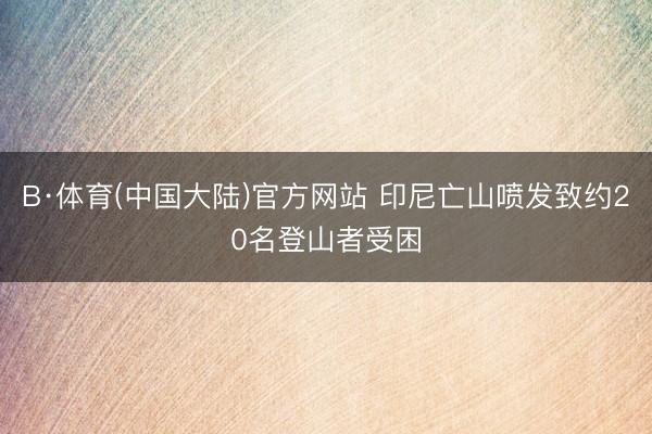 B·体育(中国大陆)官方网站 印尼亡山喷发致约20名登山者受困