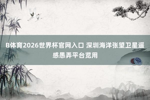 B体育2026世界杯官网入口 深圳海洋张望卫星遥感愚弄平台览用
