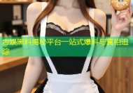 内娱黑料揭秘平台一站式爆料与真相追踪