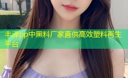 丰泽pp中黑料厂家直供高效塑料再生平台