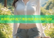 周黑鸭卤料配方揭秘独家香料调制秘技