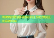 周黑鸭同款卤料秘制平台 轻松复刻正宗麻辣风味