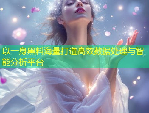 以一身黑料海量打造高效数据处理与智能分析平台  第2张