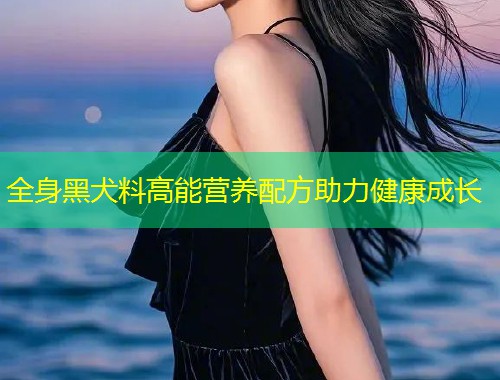 全身黑犬料高能营养配方助力健康成长  第1张