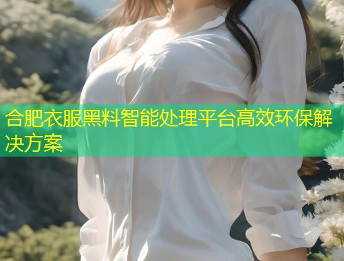 合肥衣服黑料智能处理平台高效环保解决方案  第1张