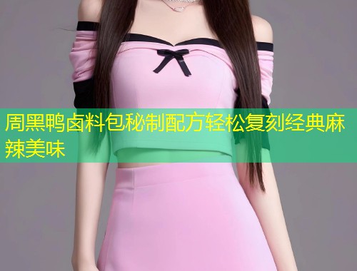 周黑鸭卤料包秘制配方轻松复刻经典麻辣美味  第2张